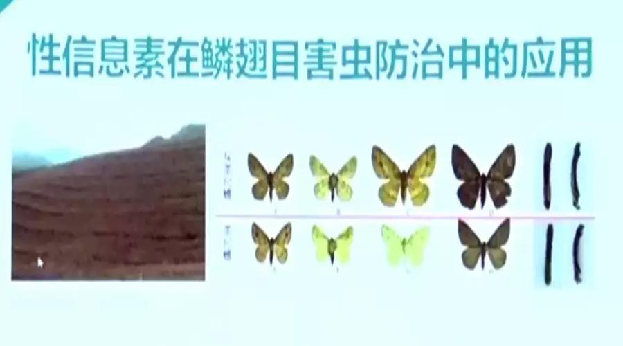 1577685721448094.jpg 6.jpg